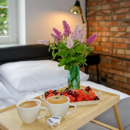 Maya's Flats 63 - Spacious Old Town Apartment *