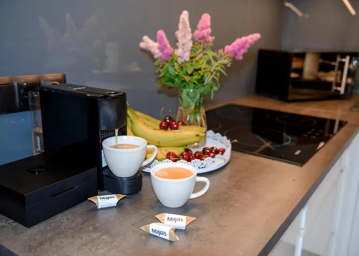 Maya's Flats & 63 - 3 On C *